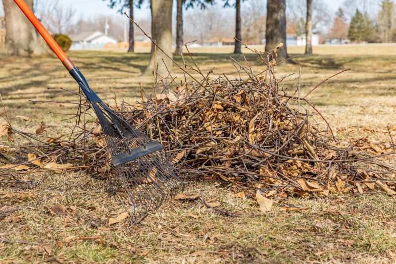 spring lawn cleanup
