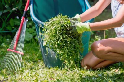 spring lawn cleanup