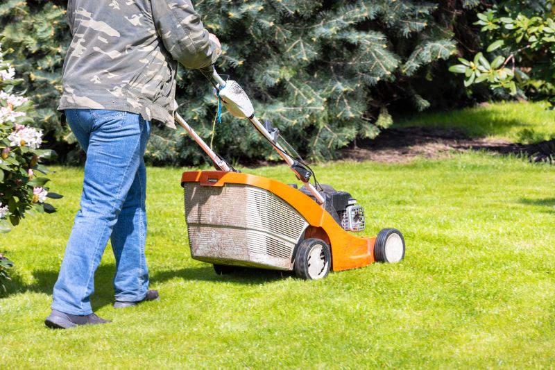 Spring Lawn Cleanup Costs — Cost of spring lawn cleanup