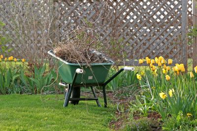 Spring Lawn Cleanup Costs — Cost of spring lawn cleanup