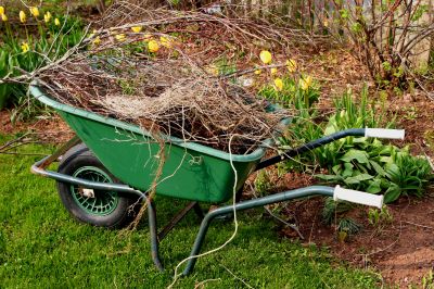 Spring Lawn Cleanup Costs — Cost of spring lawn cleanup