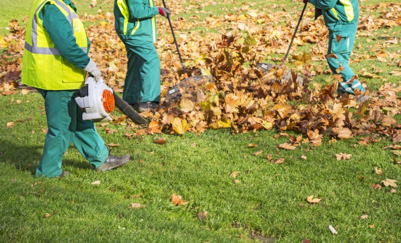 Spring Lawn Cleanup Costs — Cost of spring lawn cleanup