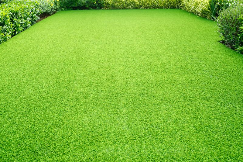 Healthy, Green Lawn