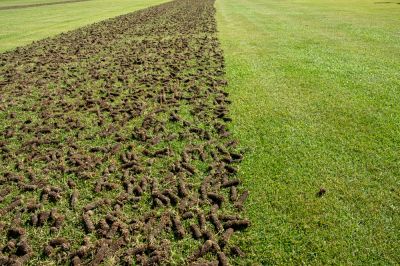 Aerate and Fertilize Your Lawn!