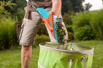 Clean Up Leaves, Branches, and Debris!