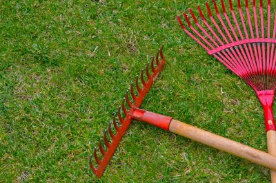 Improve Your Lawn's Appearance for the Spring Season!
