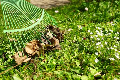 Keep Your Lawn in Great Shape!